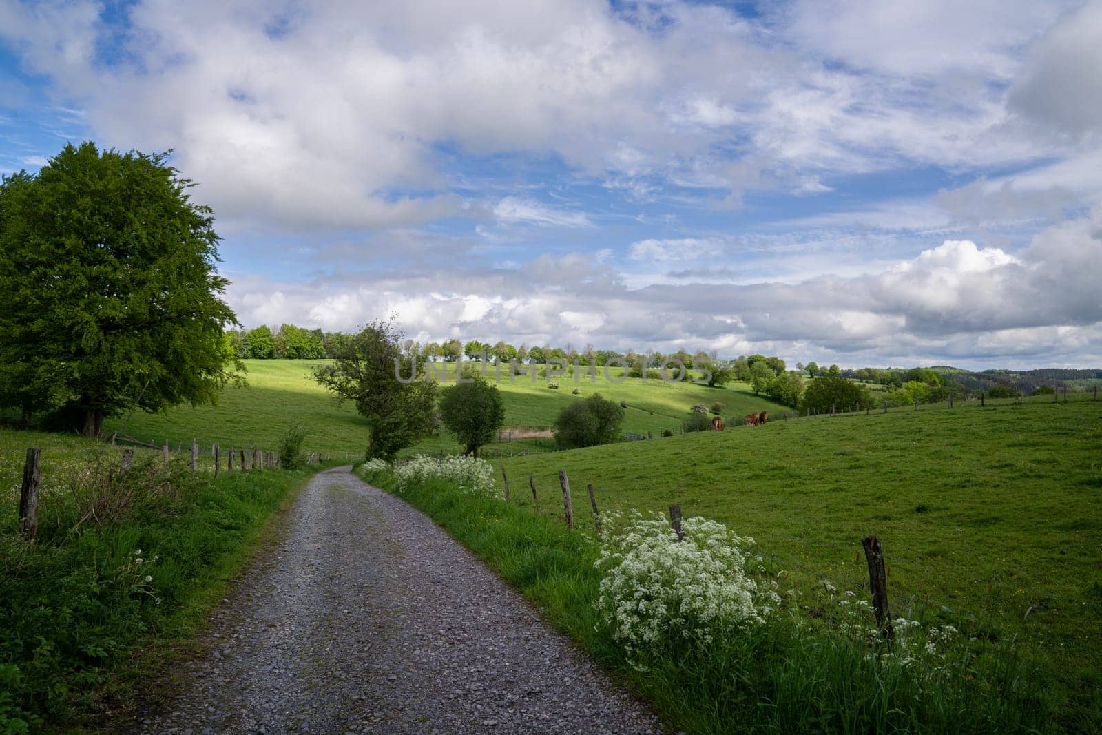 Panoramic landscape close to Monschau, Eifel, North Rhine Westphalia, Germany