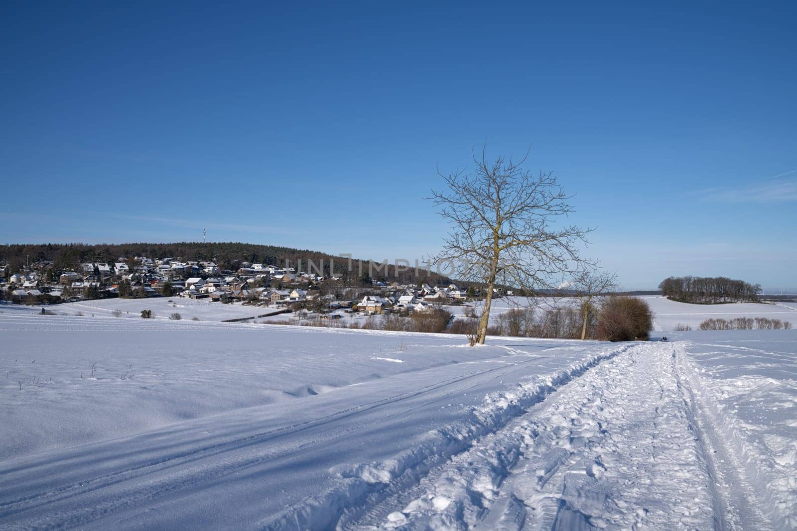 Panoramic image of landscape within the Eifel National Park, North Rhine Westphalia, Germany