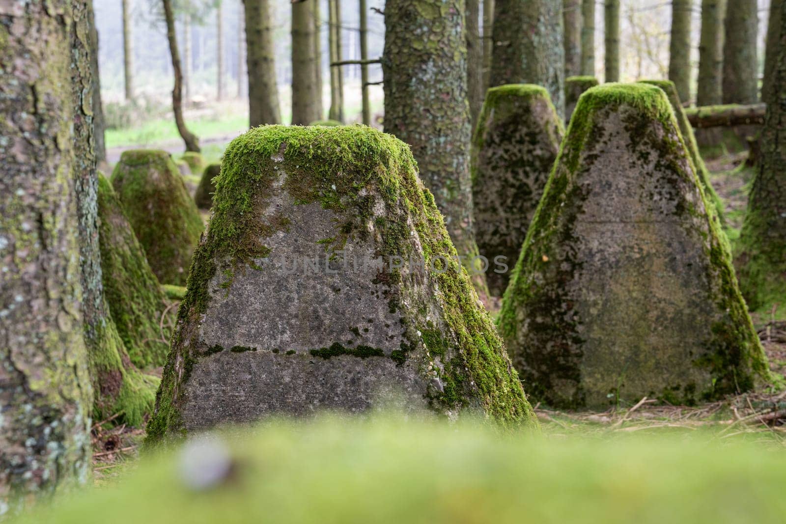 Dragon teeth, relicts of Second World War on Western Germany, Westwall close to Hellenthal, Eifel, North Rhine Westphalia, Germany