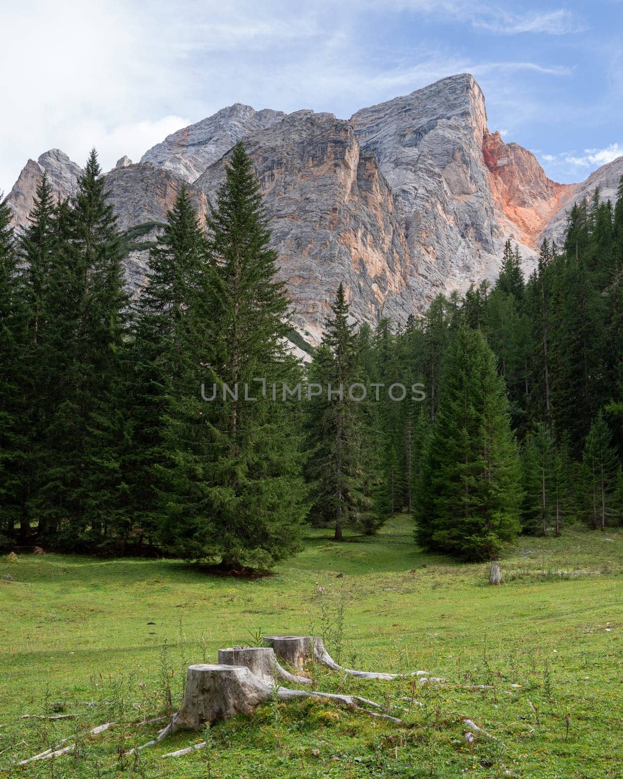 Panoramic image of landscape in South Tirol with famous Prags valley, Italy, Europe