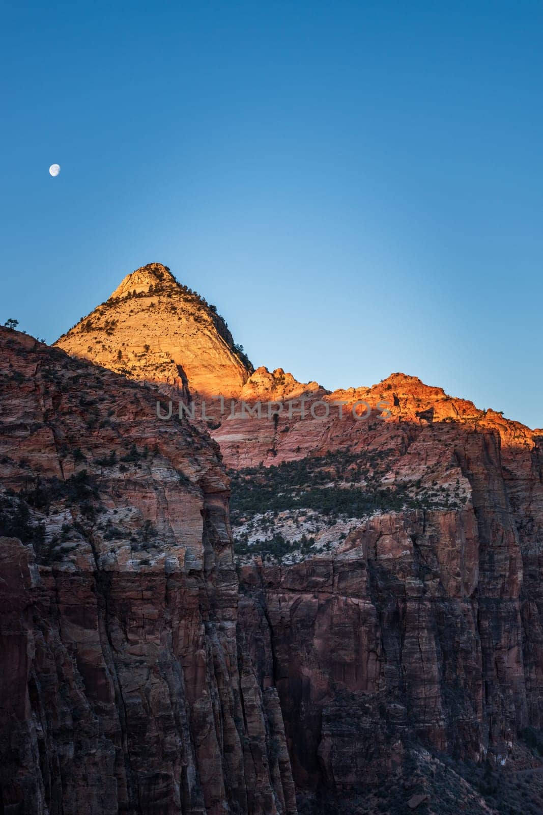 A breathtaking view of Zion Canyon Cliffs during sunrise with the moon overhead in Utah's Zion National Park. The early morning light casts a stunning glow on the rocky cliffs - USA