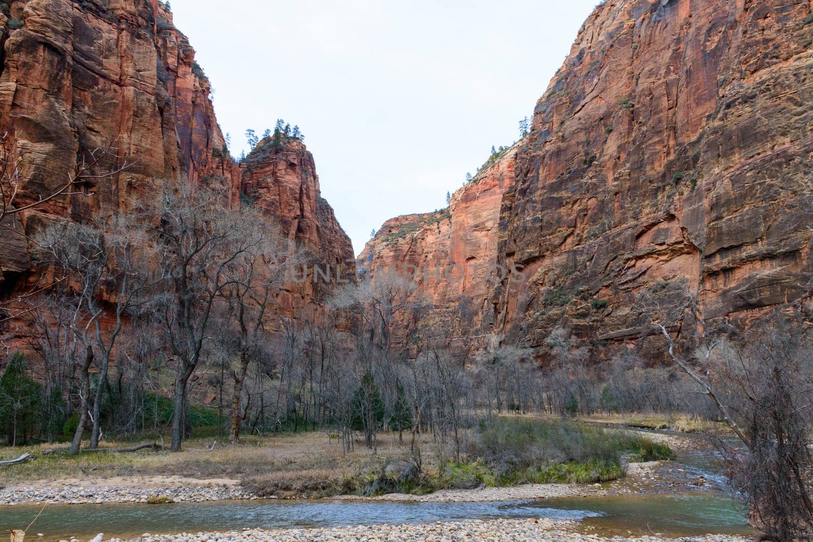 Stunning landscape of the serene Virgin River in Zion Canyon with the famous Narrows in the background. Showcasing the majestic rock formations during winter - Zion National Park, Utah, USA