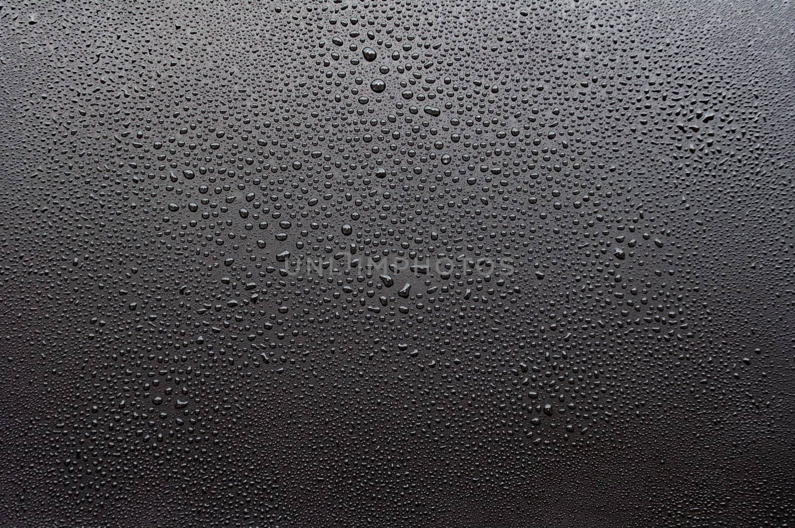 Water droplets on dark cover background. Water droplets concept