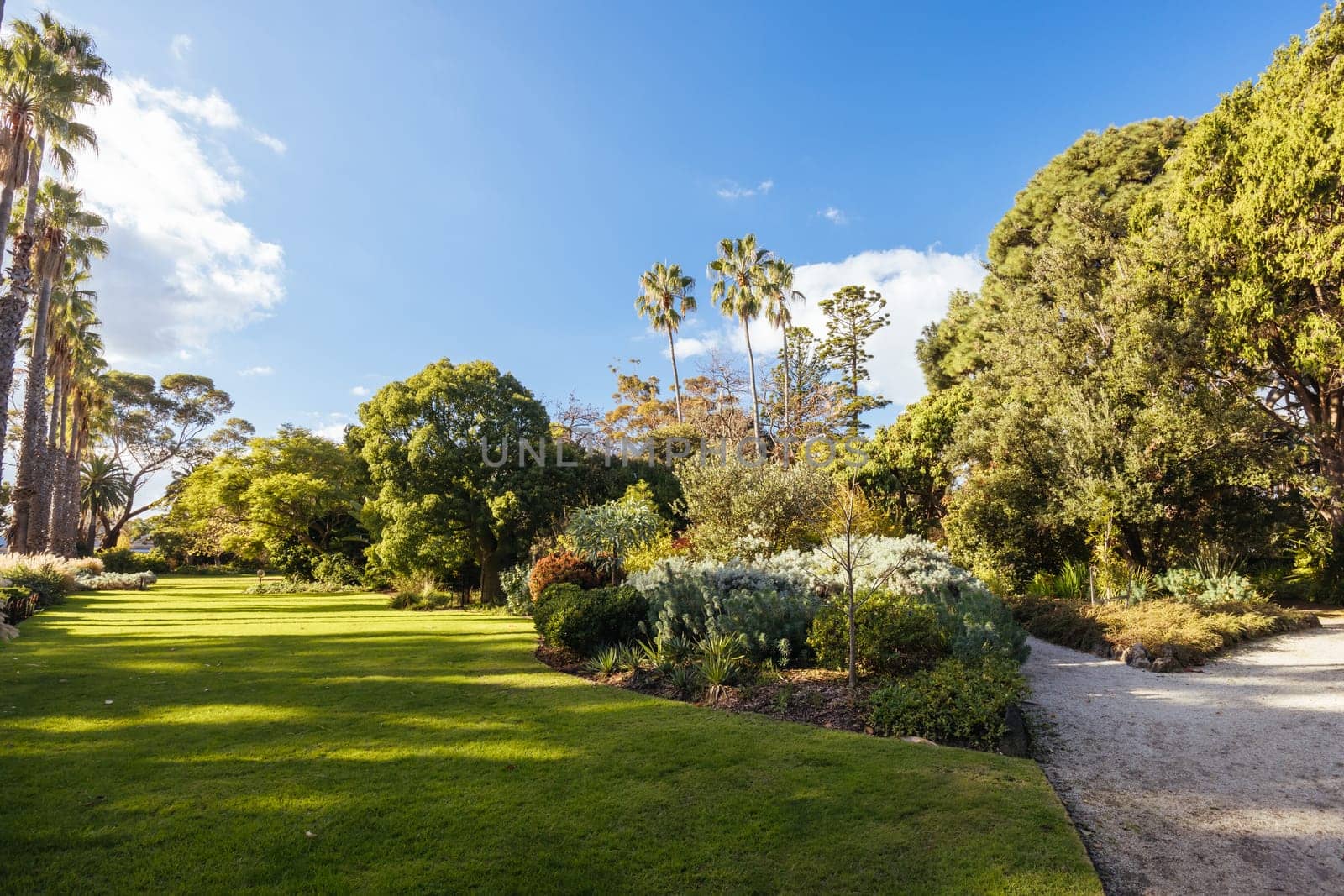 Williamstown Botanic Gardens on a cool winter's afternoon in central Williamstown in Melbourne, Victoria, Australia
