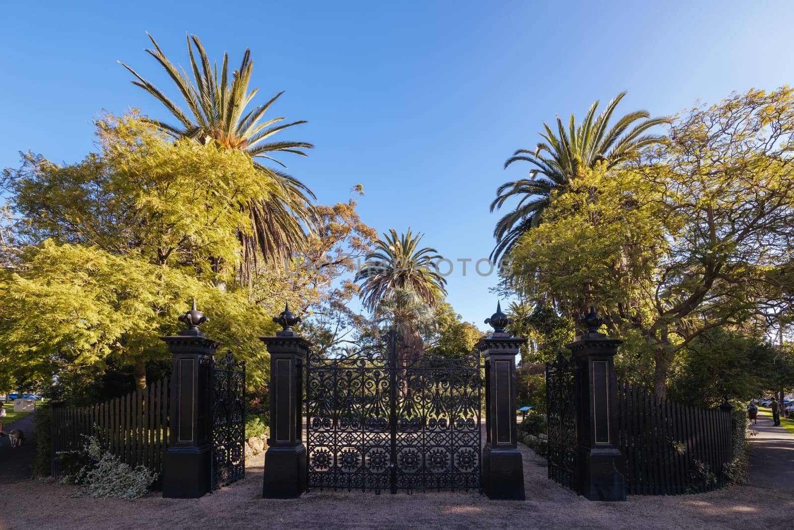 Williamstown Botanic Gardens in Melbourne Australia by FiledIMAGE