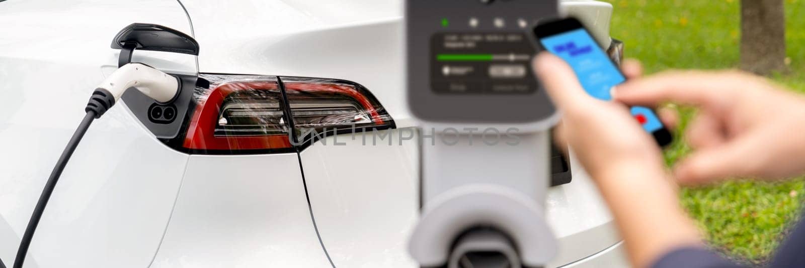 Man using smartphone online banking application to pay for electric car battery charging from EV charging station during vacation holiday road trip at national park or forest. Panorama Exalt