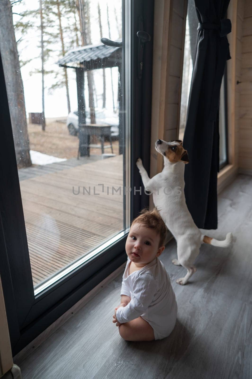 Cute baby boy and Jack Russell terrier dog looking through the patio window. Vertical photo. by mrwed54