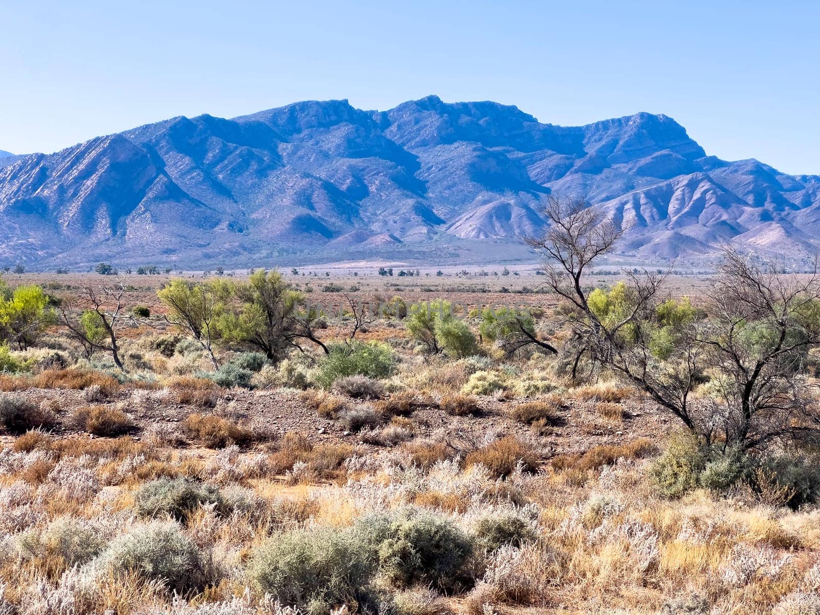 Distant mountains in Ikara Flinders Ranges South Australia