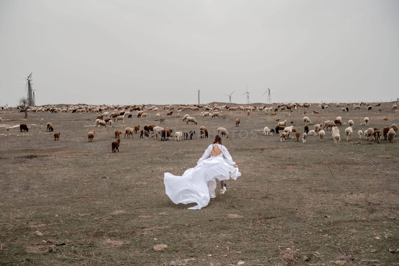 A woman in a white dress is walking through a field of cows. The cows are scattered throughout the field, with some closer to the woman and others further away. The scene has a peaceful. by Matiunina