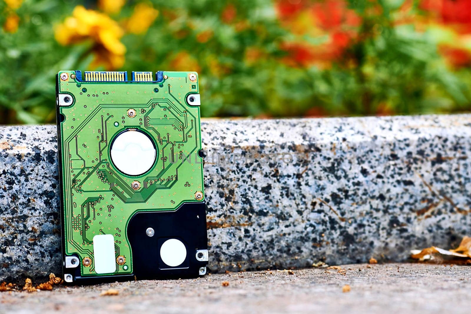 Green Internal hard drive for storing information on sidewalk by jovani68