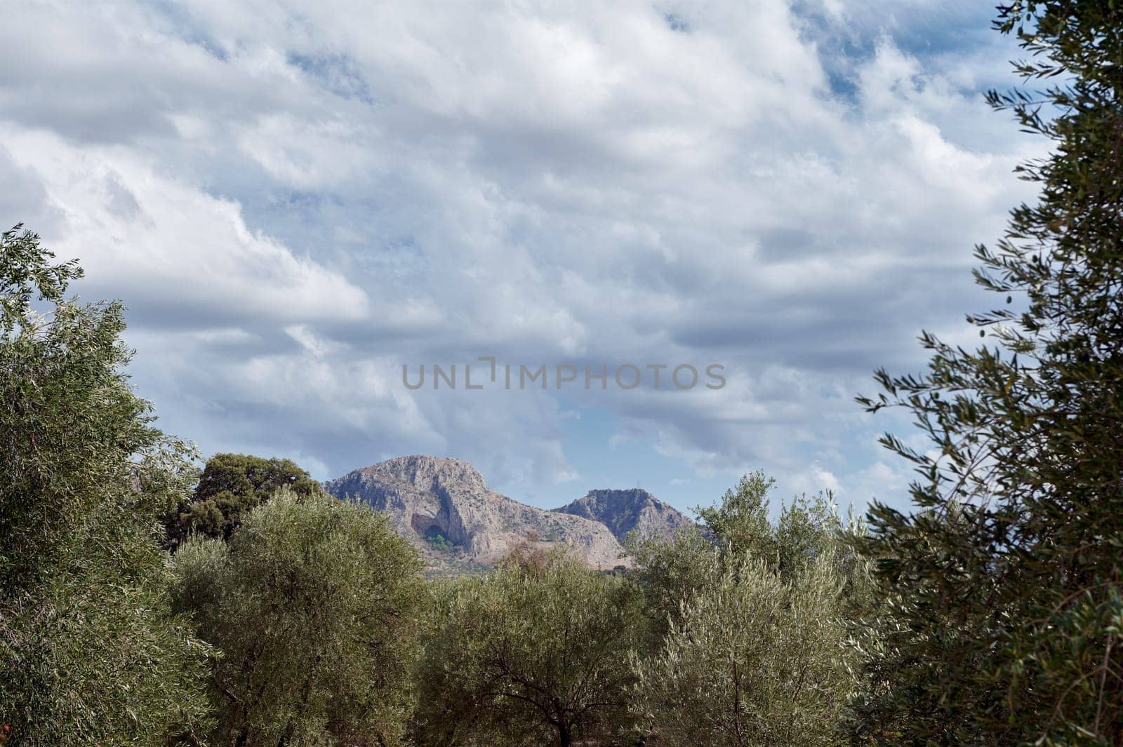 Beautiful mountain landscape with a dramatic cloudy sky above. Lush green trees frame the scene, creating a peaceful and serene view.