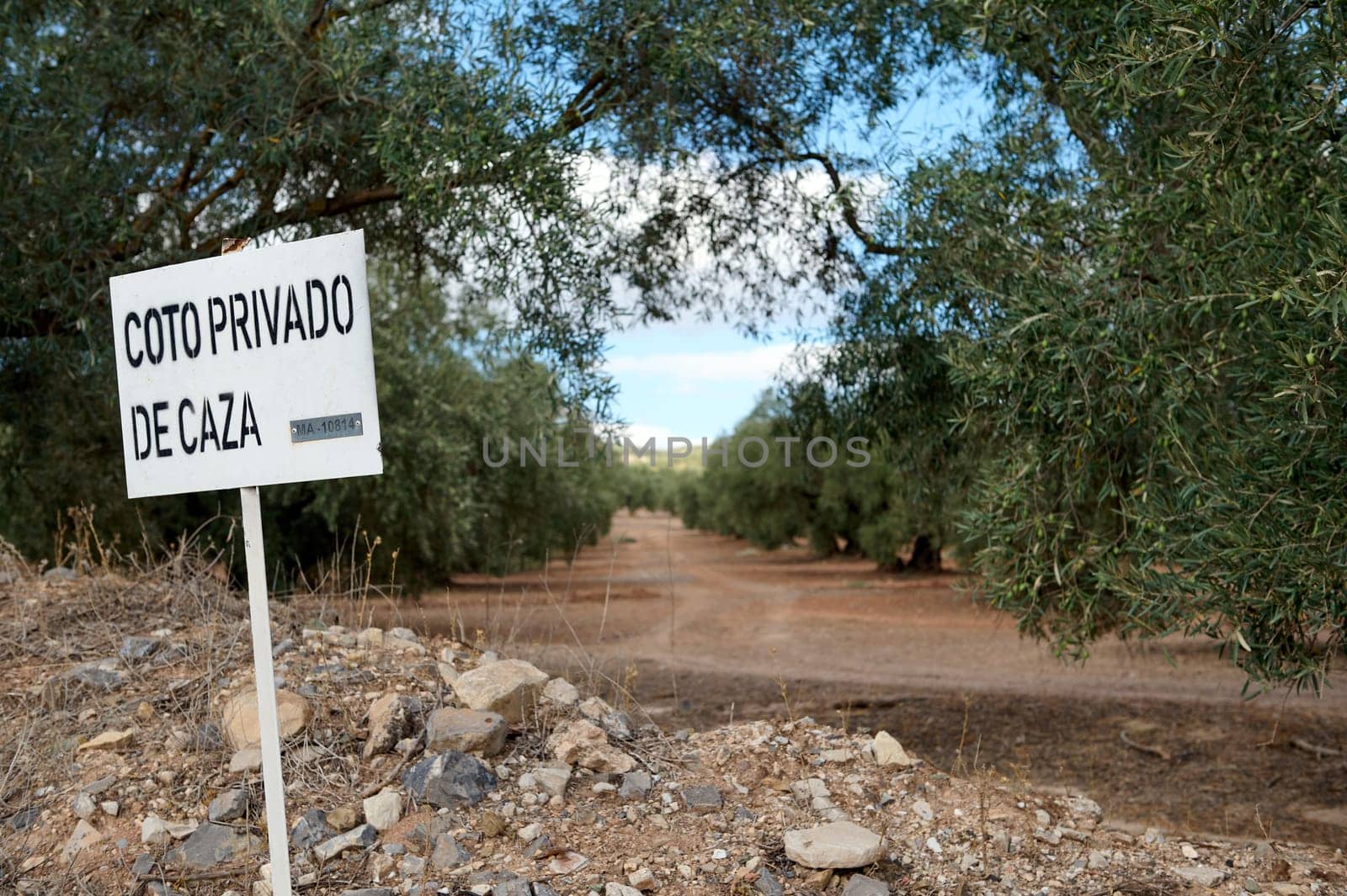 Private hunting sign in rural forest pathway under clear sky by artgf