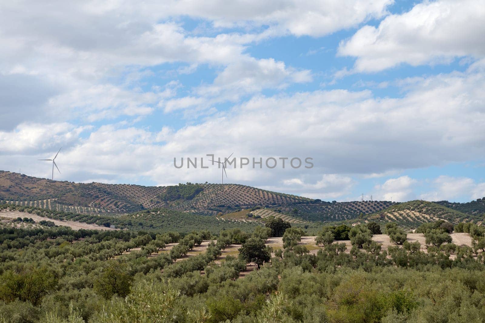 Breathtaking view of rolling hills with olive groves and wind turbines under a partly cloudy sky, showcasing sustainable energy in a rural setting.