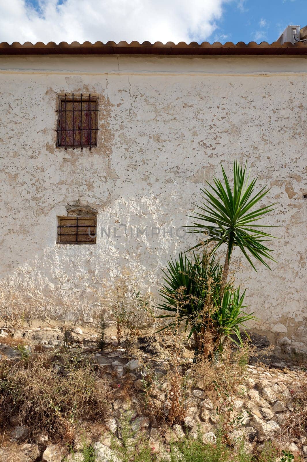 An old rustic wall with peeling paint, barred windows, and a green plant growing in front. Bright sky in the background.