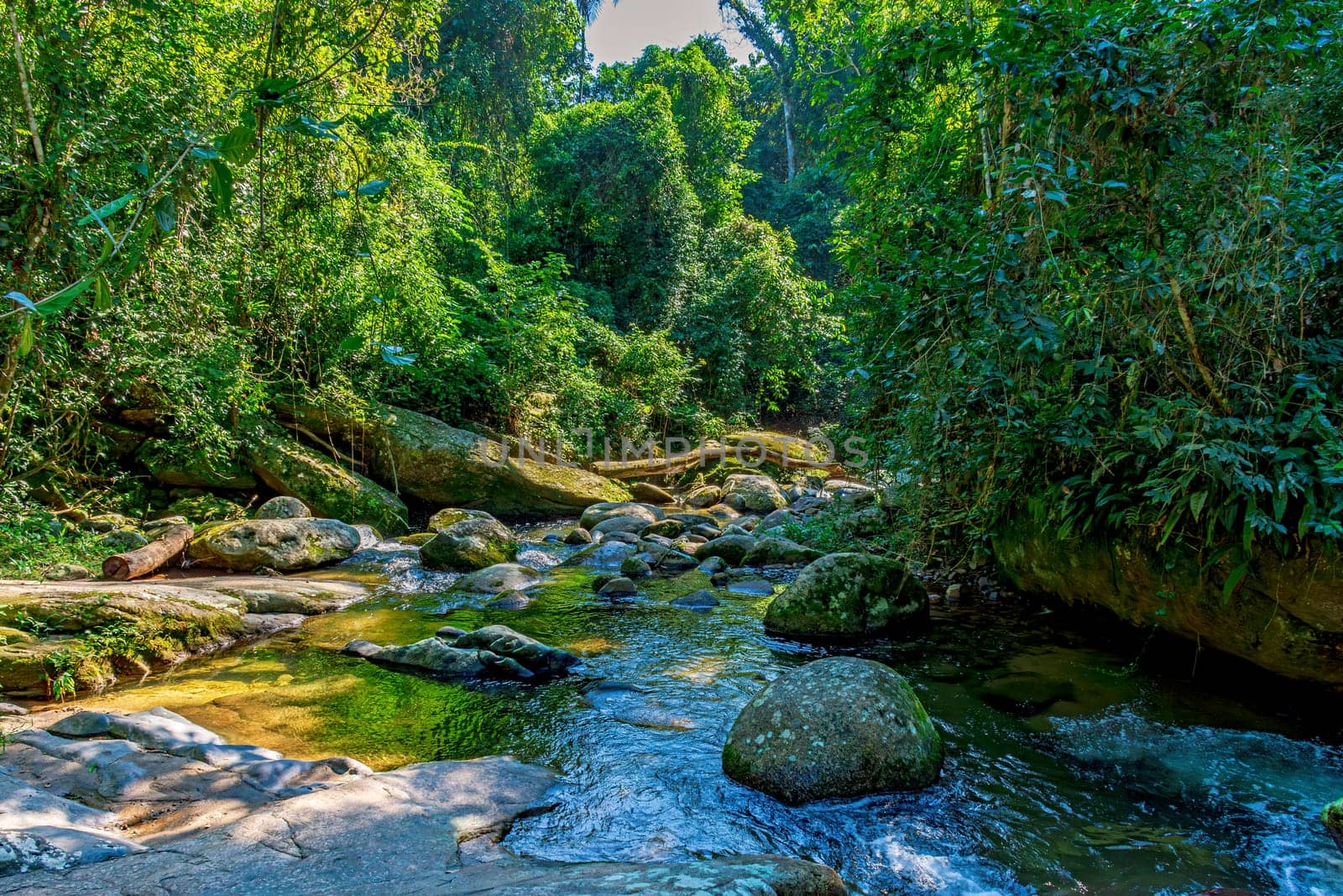 Beautiful river crossing the rainforest between the stones and vegetation in Ilhabela