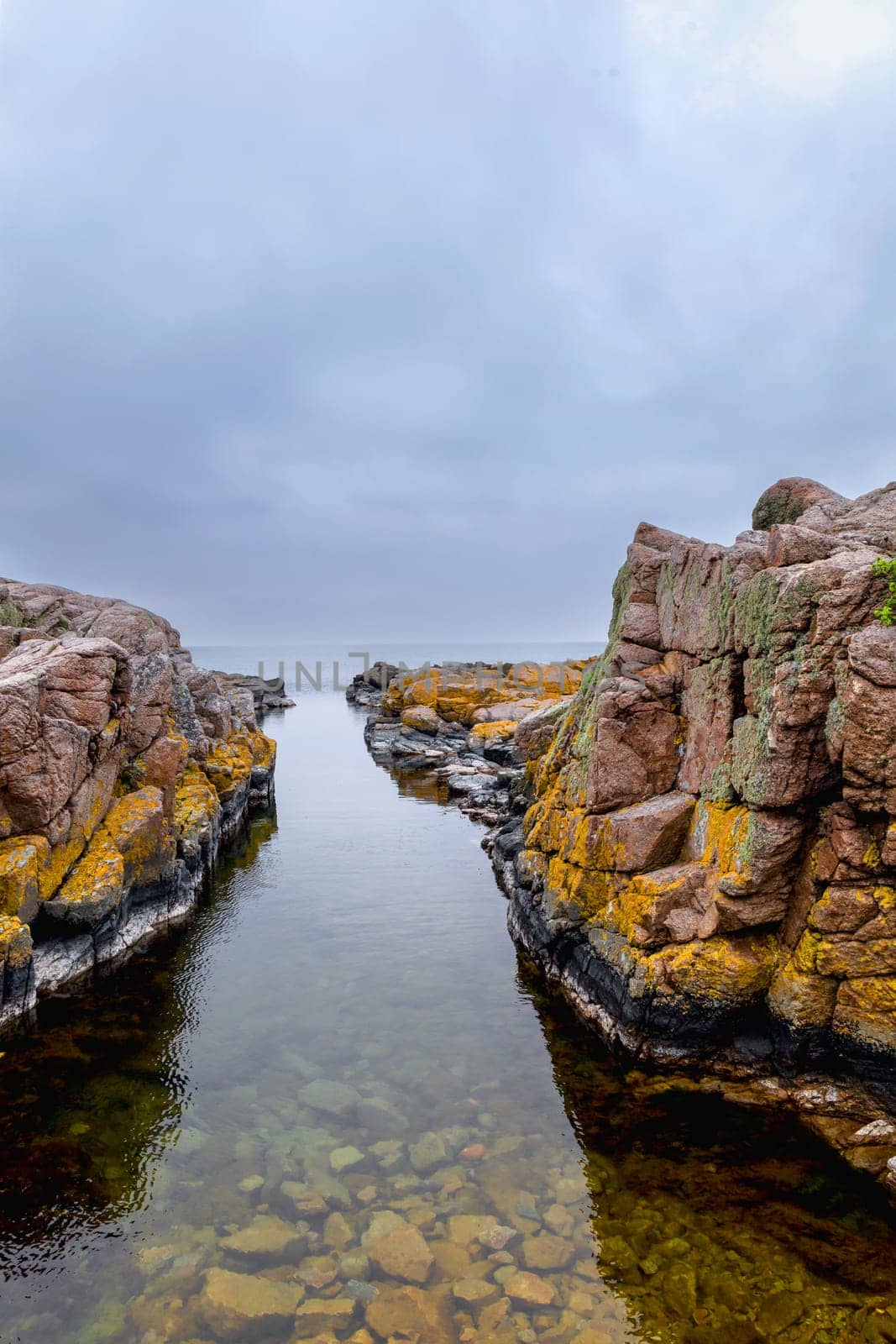 Rocky seashore. Stones covered with yellow and green moss and cloudy sky. Beautiful landscape.