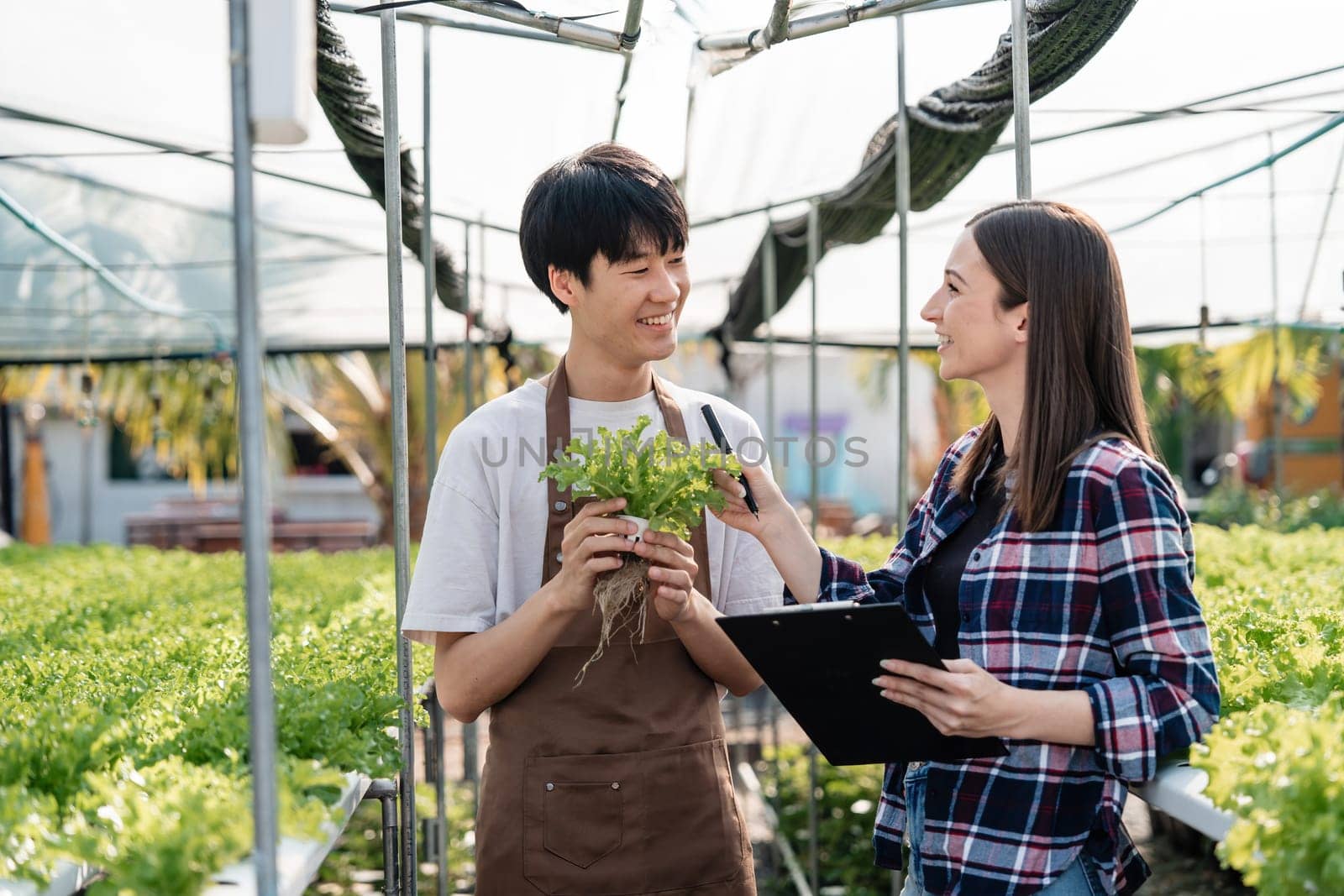 Young Couple Engaged in Modern agricultural, Collaborating in a Greenhouse with Fresh Produce and Technology by wichayada