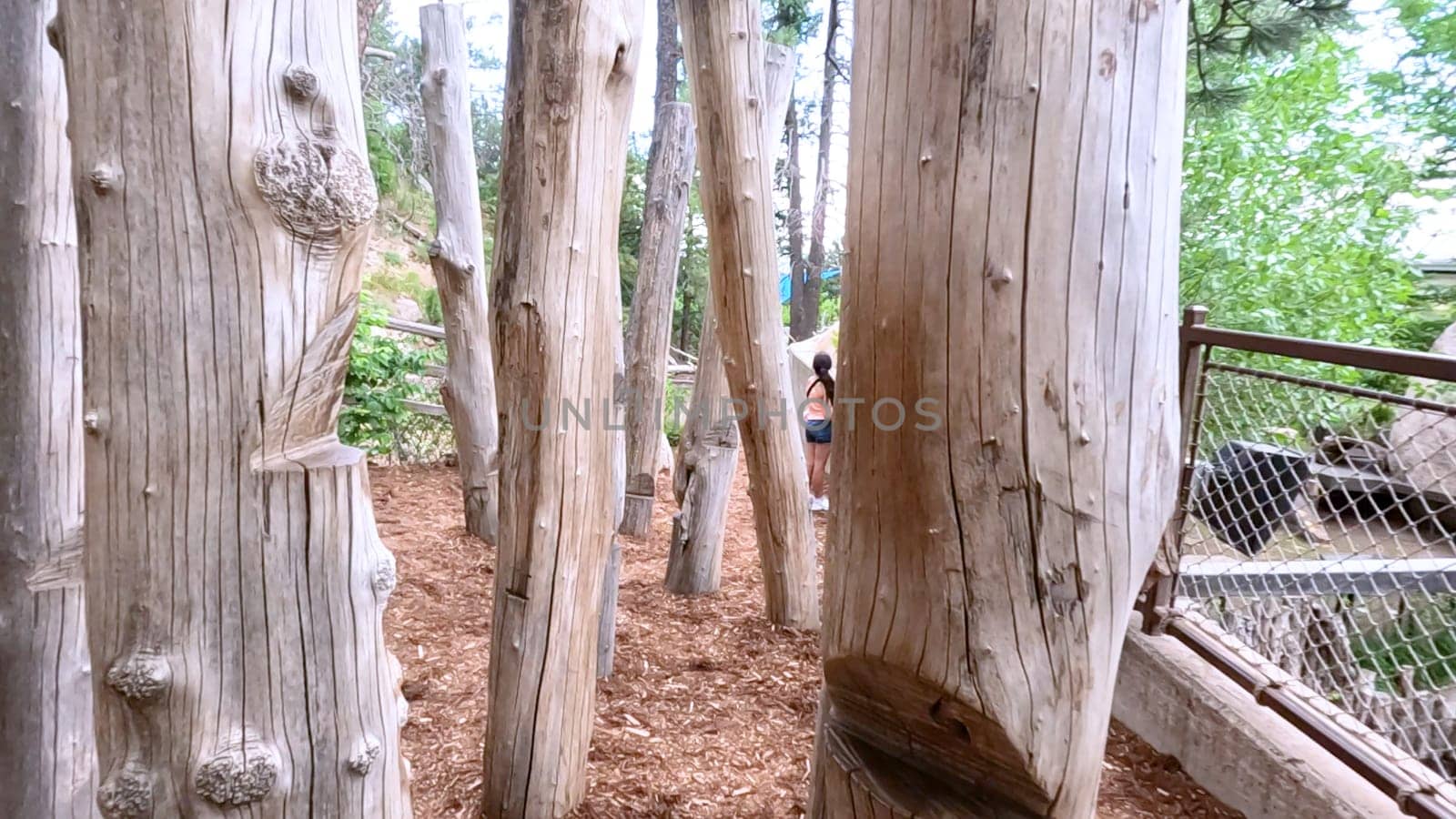 An outdoor play area featuring tall wooden poles and natural surroundings, with children seen in the background. The image captures the rustic and adventurous atmosphere of the play space.