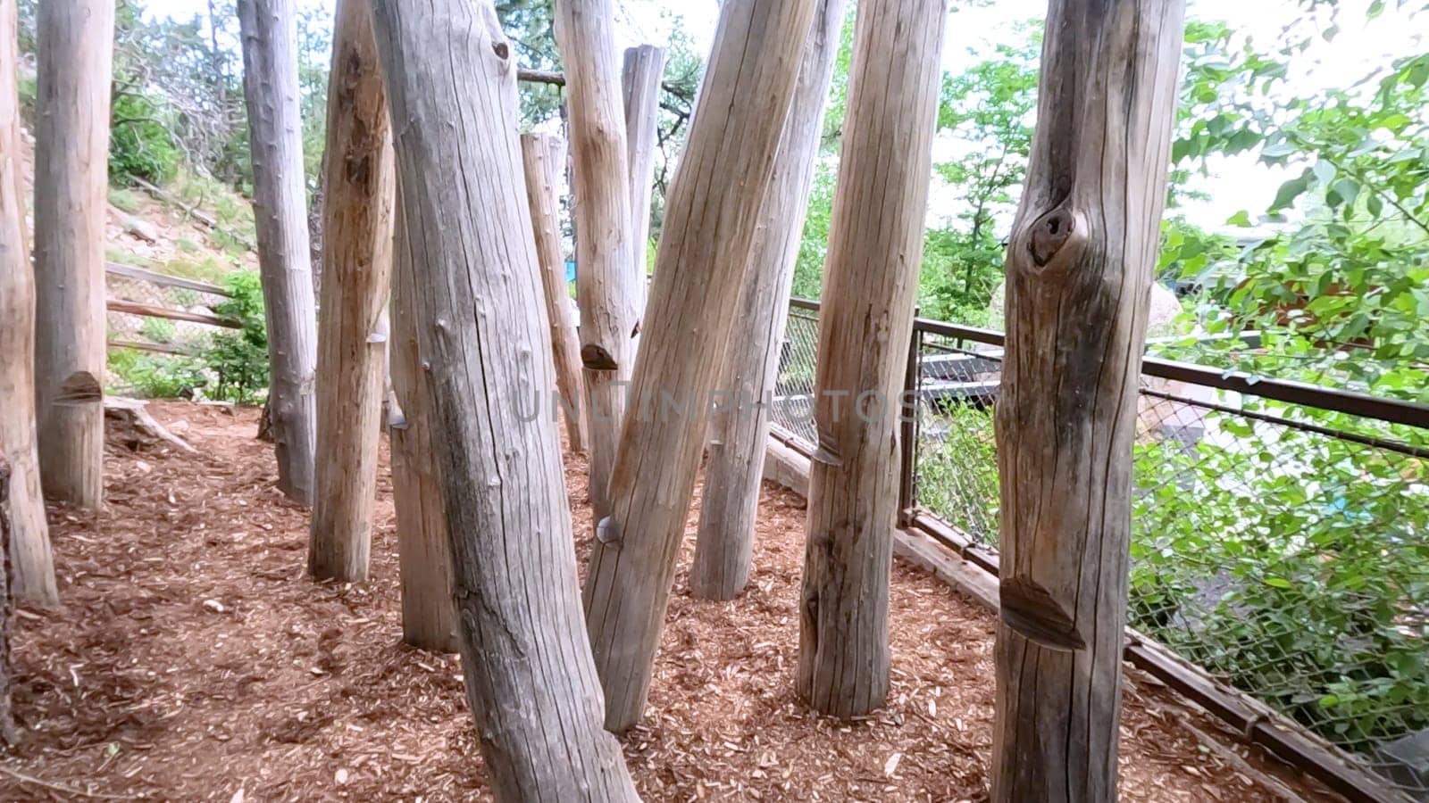 An outdoor play area featuring tall wooden poles and natural surroundings, with children seen in the background. The image captures the rustic and adventurous atmosphere of the play space.