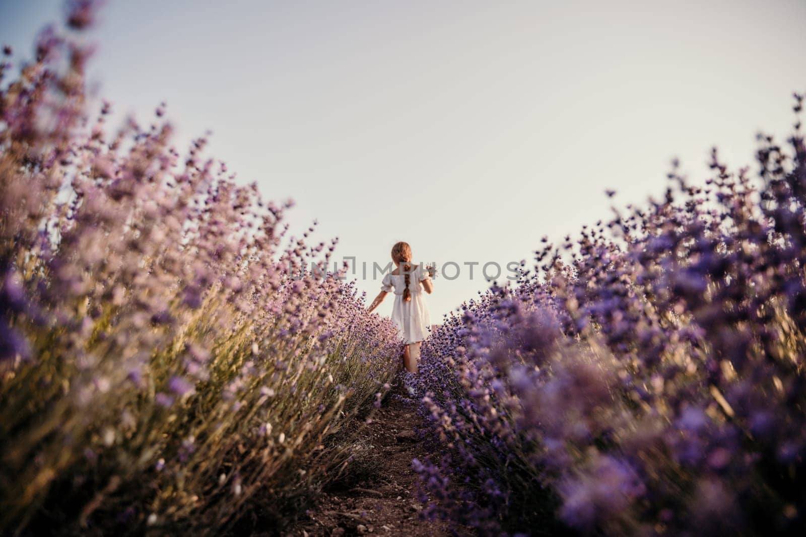 Lavender field girl. Back view happy girl in white dress with a scythe runs through a lilac field of lavender. Aromatherapy travel by Matiunina