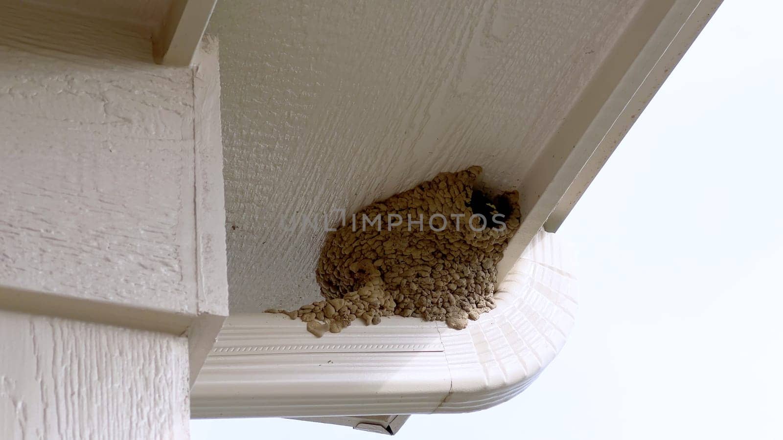 Close-up view of a bird nest tucked under the roof of a suburban house, captured against a clear blue sky. The nest is situated near the house gutter system, highlighting a common nesting spot for birds.