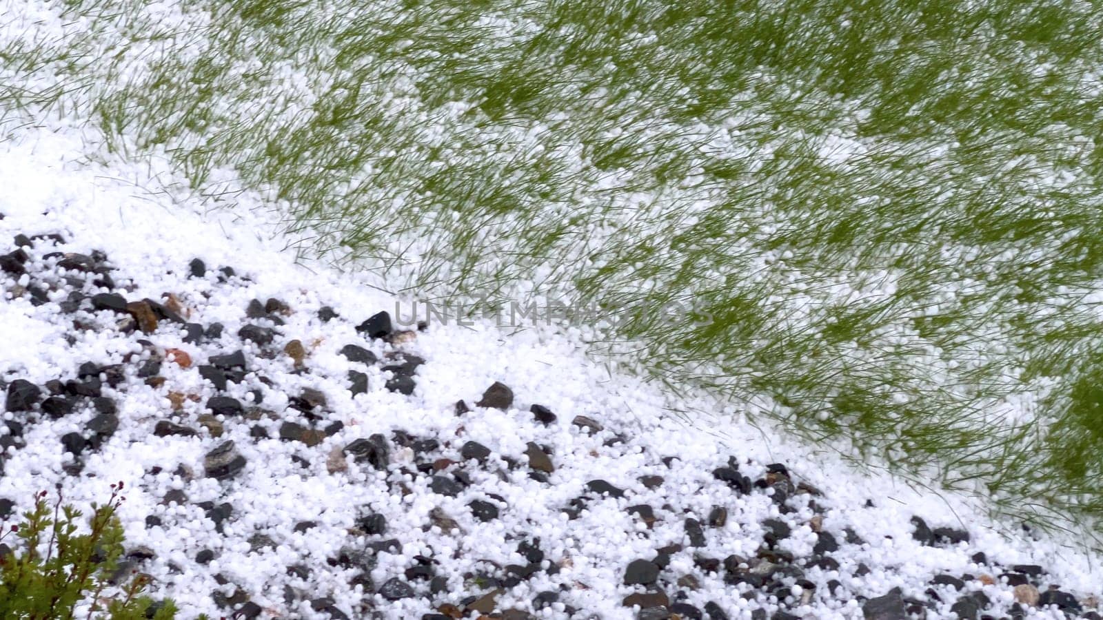 A lawn and rock garden blanketed in hail following a storm, with the green grass and small shrubs peeking through the layer of ice. The contrast between the white hail and the greenery creates a striking visual effect.