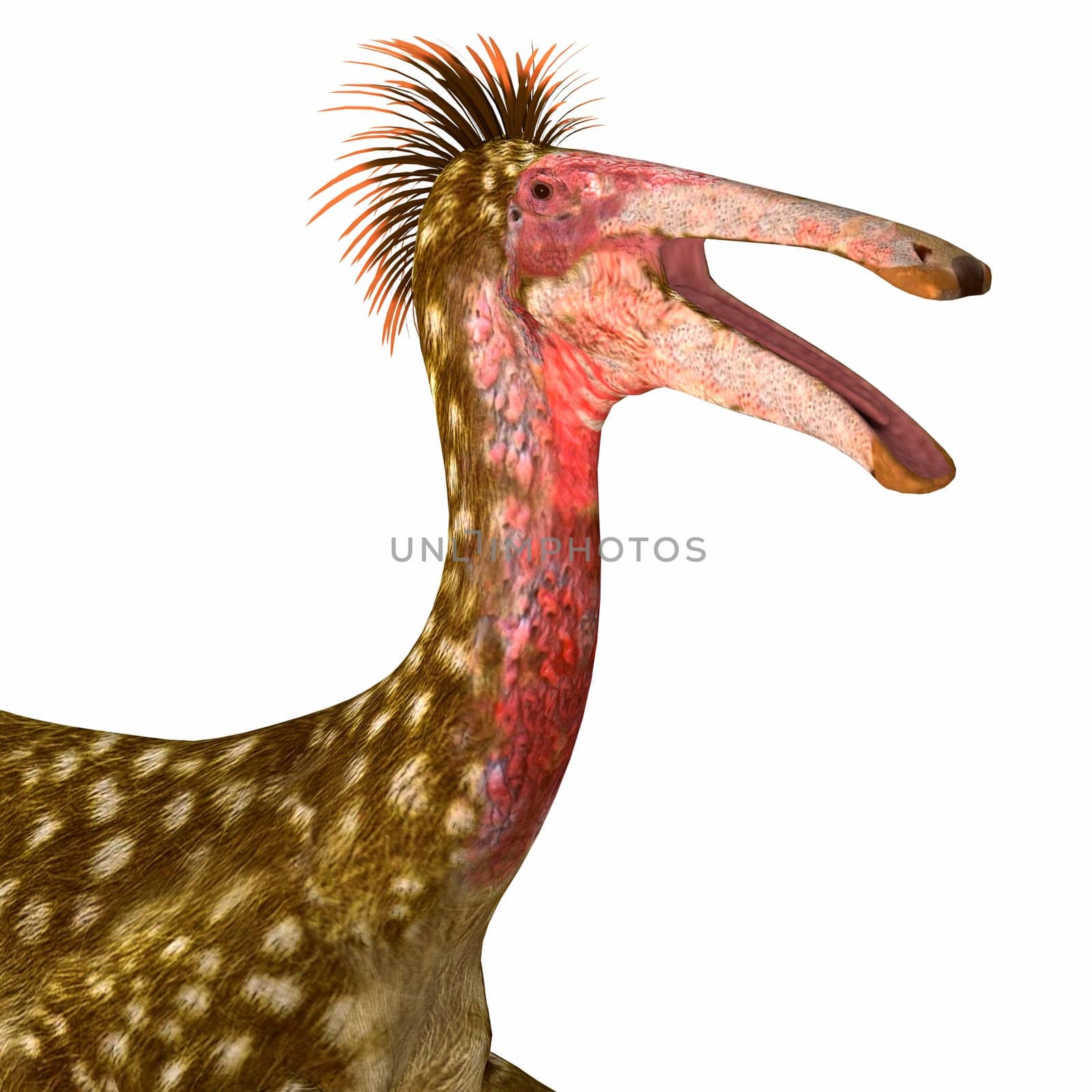 Cretaceous Deinocheirus Head by Catmando