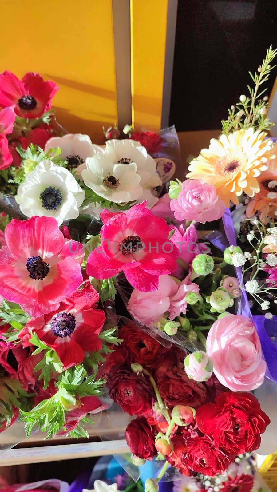 beautiful pink and white flowers bouquets, plants nature. High quality photo