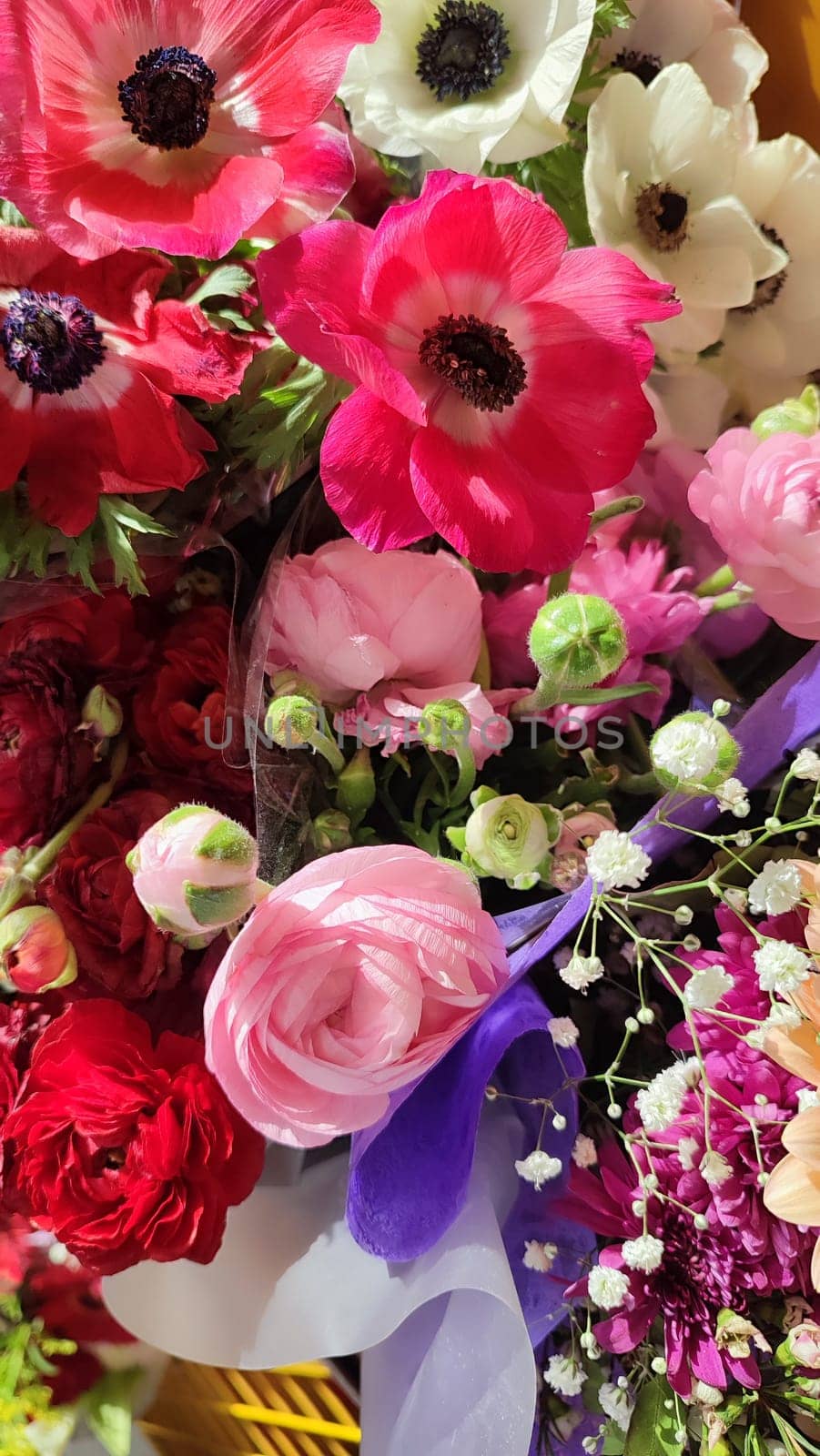beautiful flowers bouquets, plants nature. High quality photo