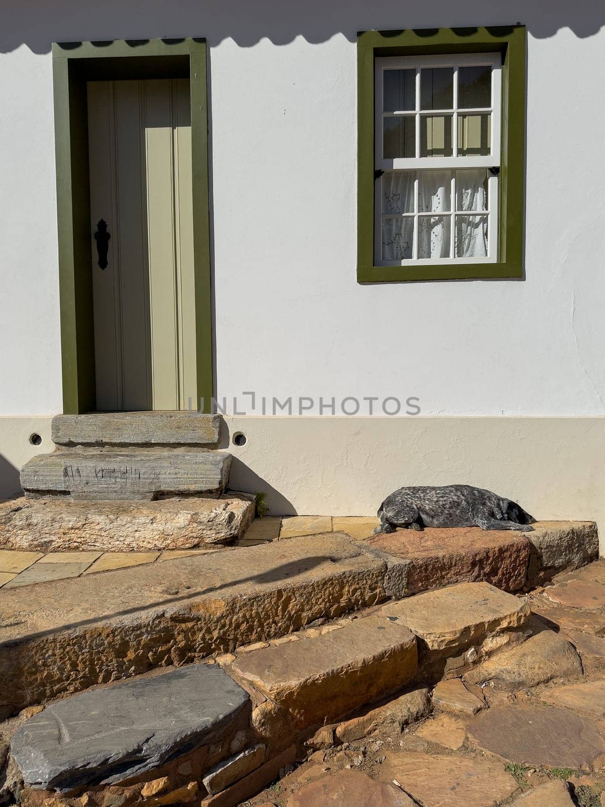 Rustic Doorway With Stone Steps and a Resting Dog by FerradalFCG