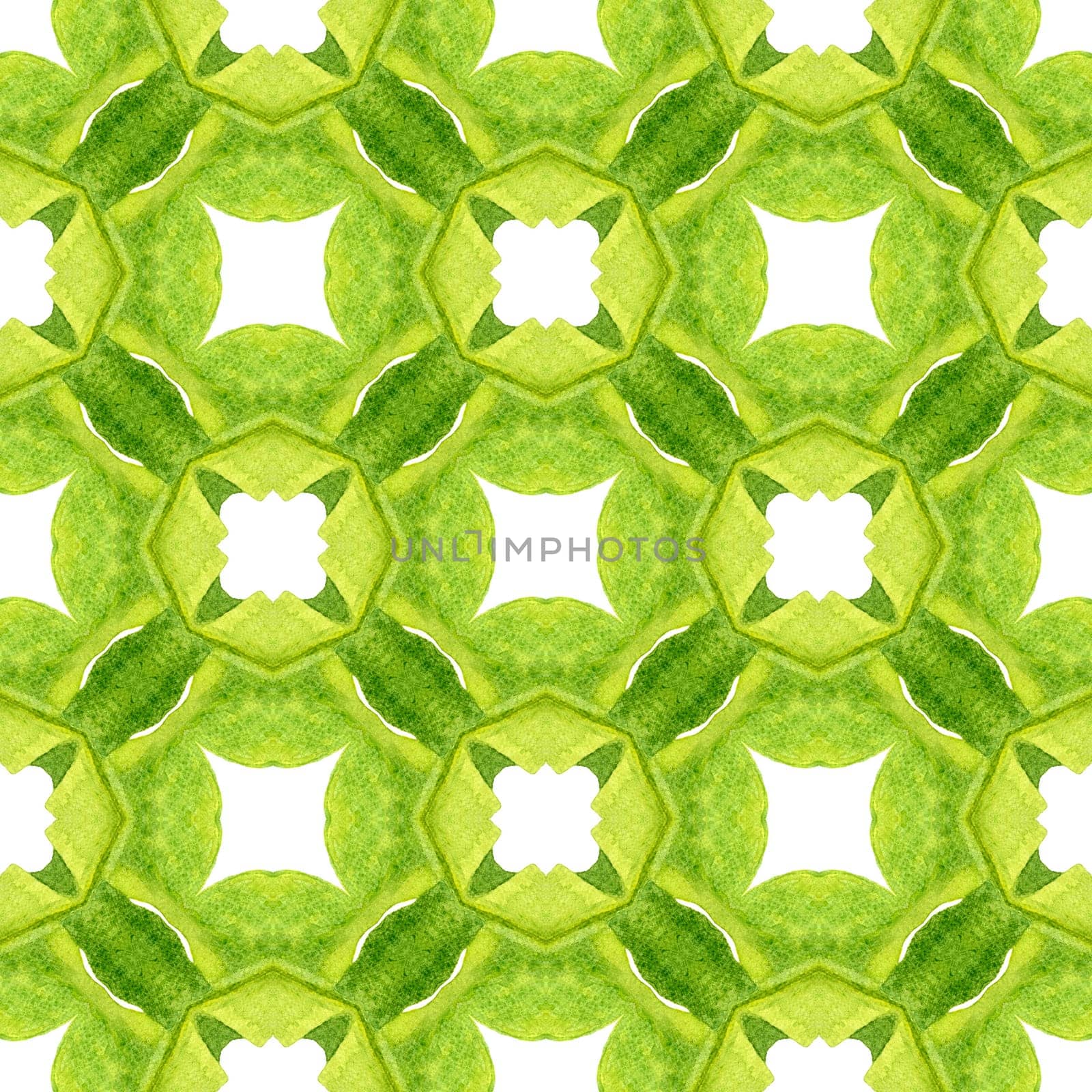 Textile ready Actual print, swimwear fabric, wallpaper, wrapping. Green precious boho chic summer design. Medallion seamless pattern. Watercolor medallion seamless border.