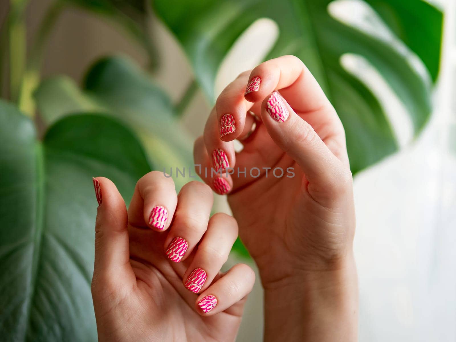 Aesthetic visual of two female hands with short nails with neon stamping manicure. Hand with stylish bright pink neon stamping nail art design manicure on green tropical monstera plant background