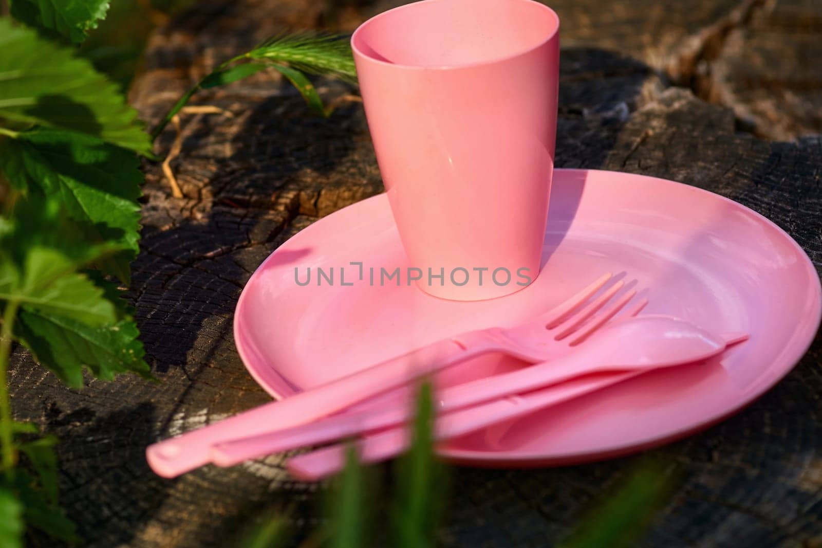 Pink plastic dinnerware set. Cup,plate,fork,knife,spoon.Camping.Wood stump by jovani68