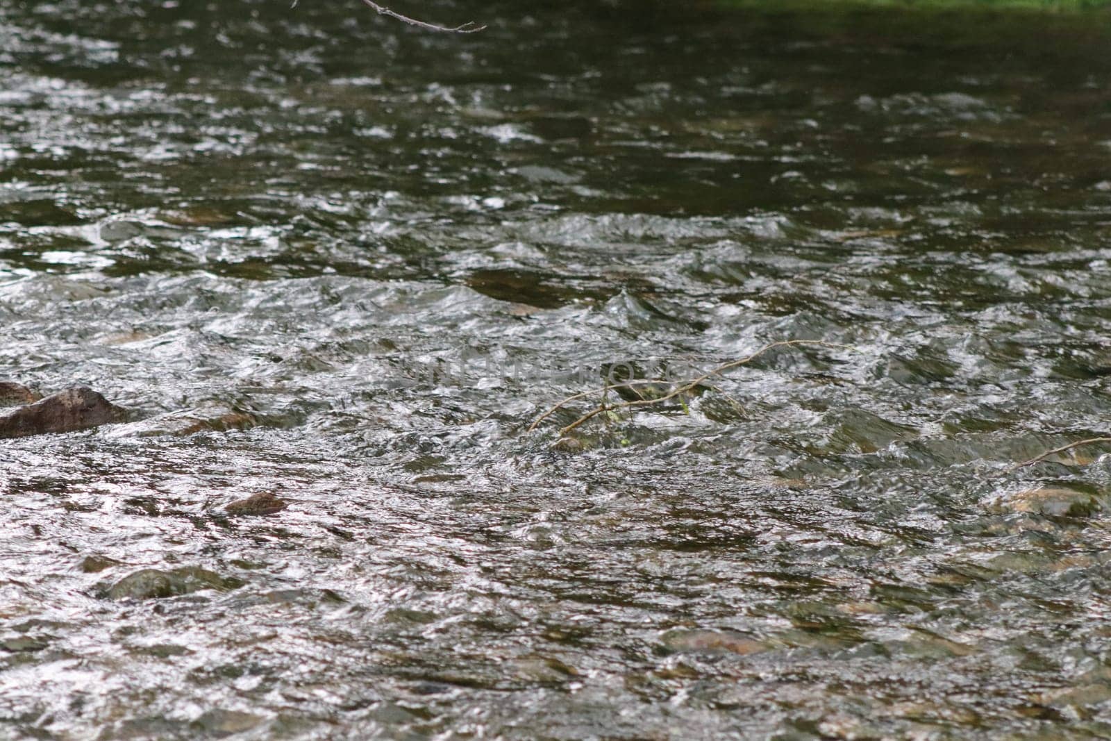 Waterfall stream close-up view from above clear flowing stream over ground gravel and stones. High quality photo