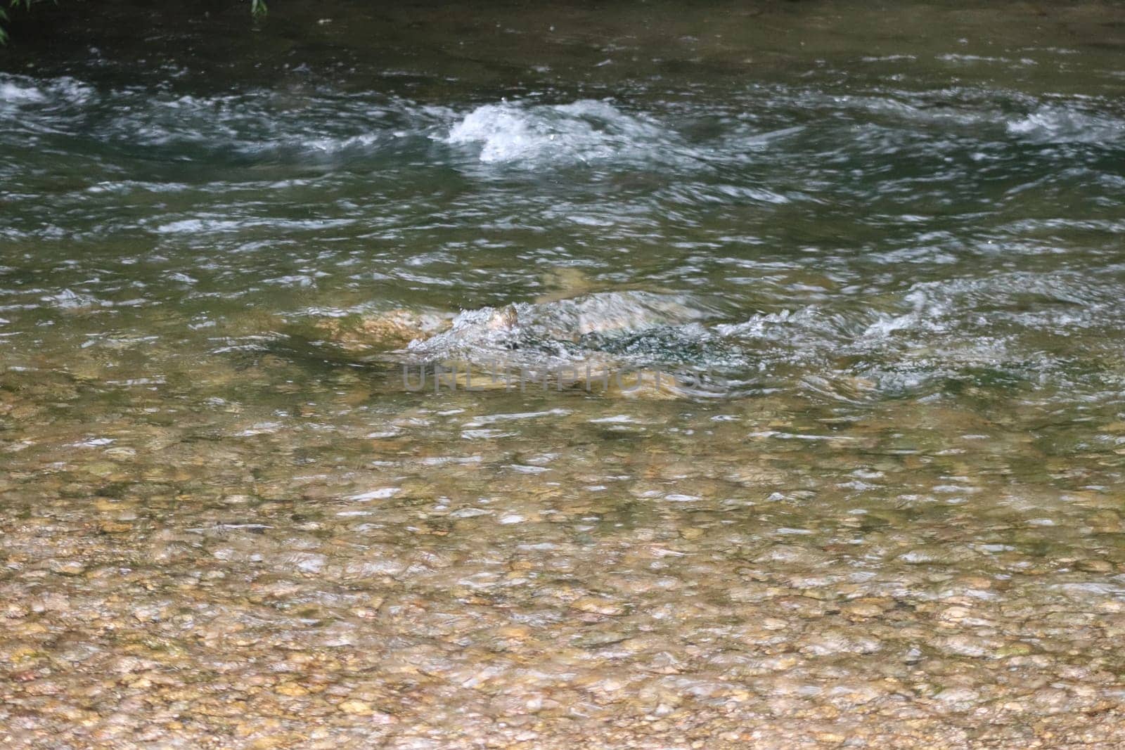 Waterfall stream close-up view from above clear flowing stream over ground gravel and stones. High quality photo