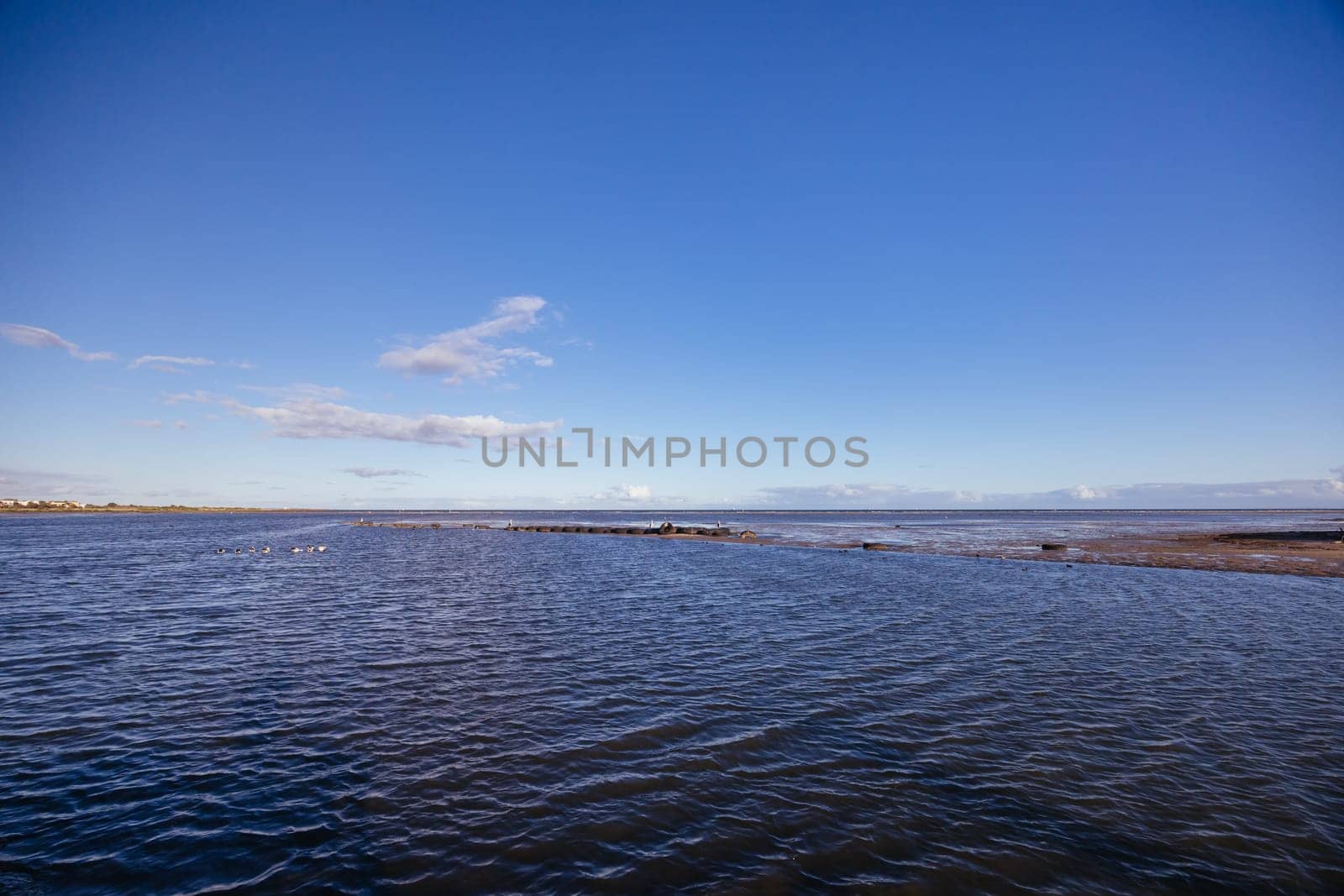 Wetlands area around Paisley Challis Birdhide in Jawbone Flora and Fauna Reserve in Williamstown, Melbourne, Victoria, Australia