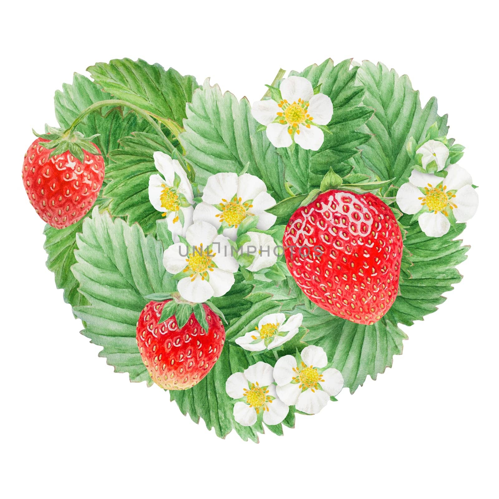 Red strawberry hand drawn watercolor illustration. Delicious food art, fresh botanical realistic painting. Summer sweet berry clip art for restaurant, cafe menu, packaging of farm goods, vegan products