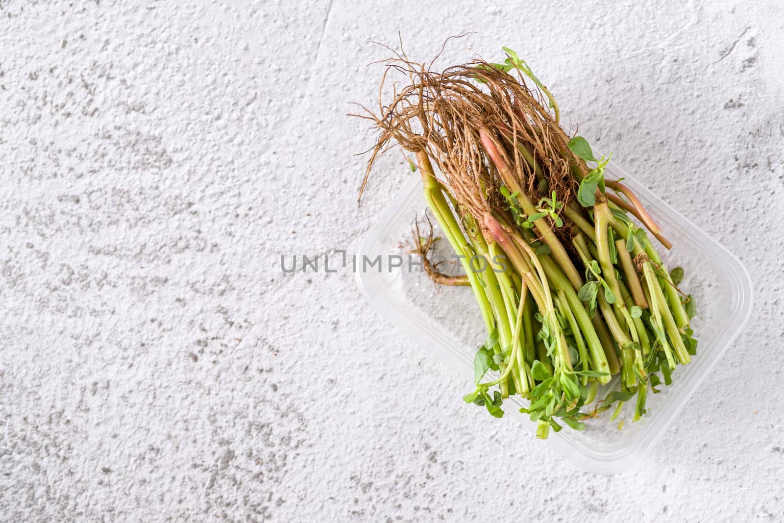 Natural purslane stems and grounded roots on white stone table