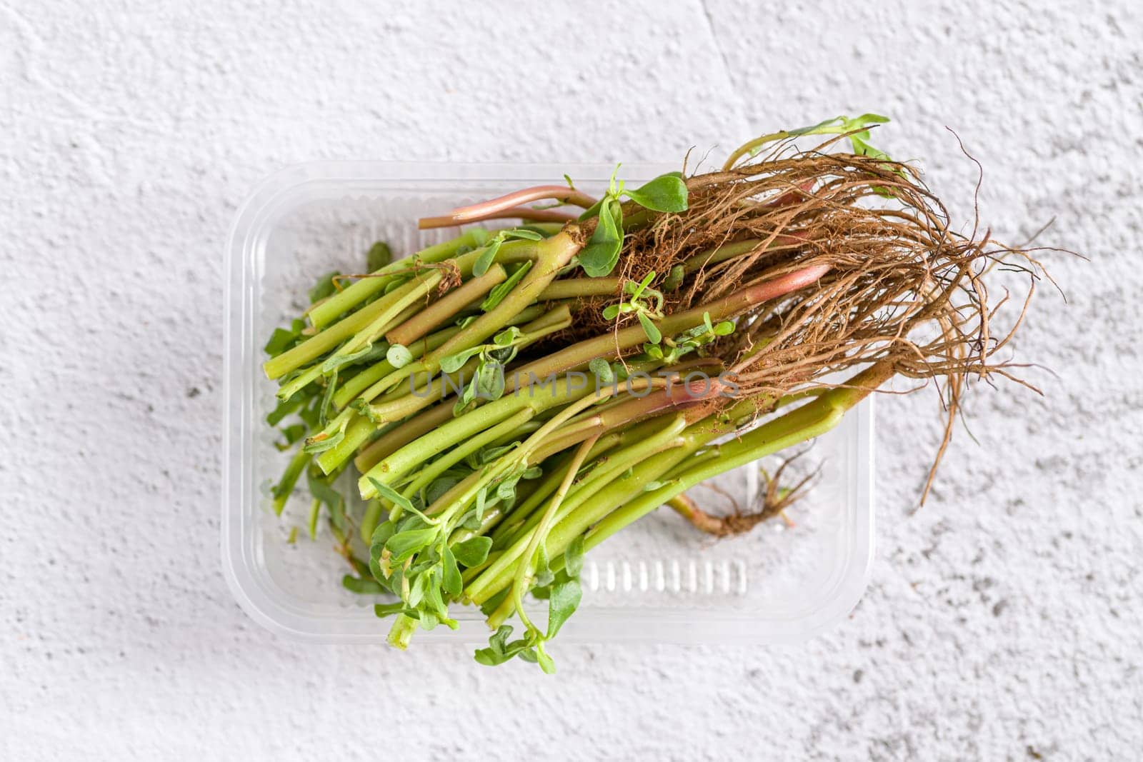 Natural purslane stems and grounded roots on white stone table