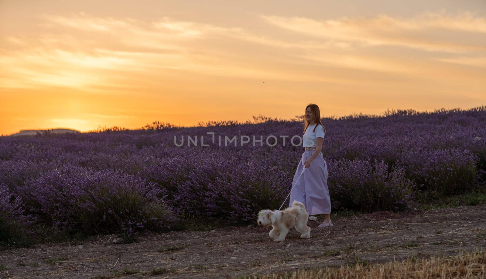 A woman and her dog are walking through a field of lavender. The sky is orange and pink, creating a warm and peaceful atmosphere