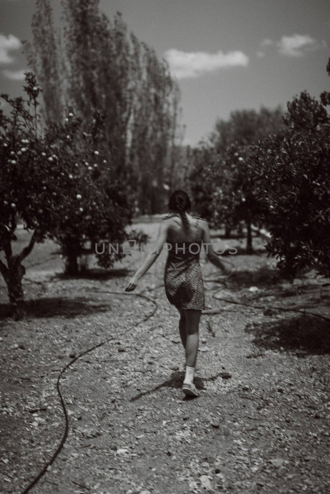 A woman walks in an orchard, captured in a serene black and white photograph, highlighting natural beauty.