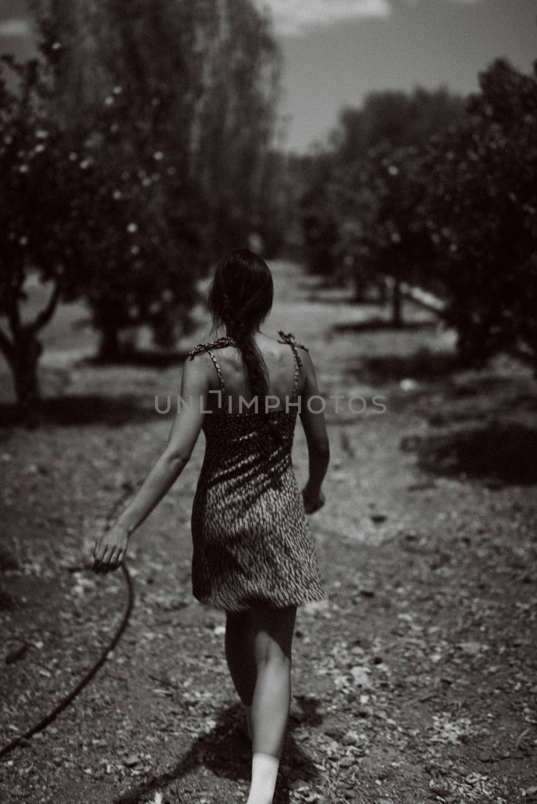A woman strolls in a tranquil orchard, holding a hose, surrounded by peaceful nature in a black and white image