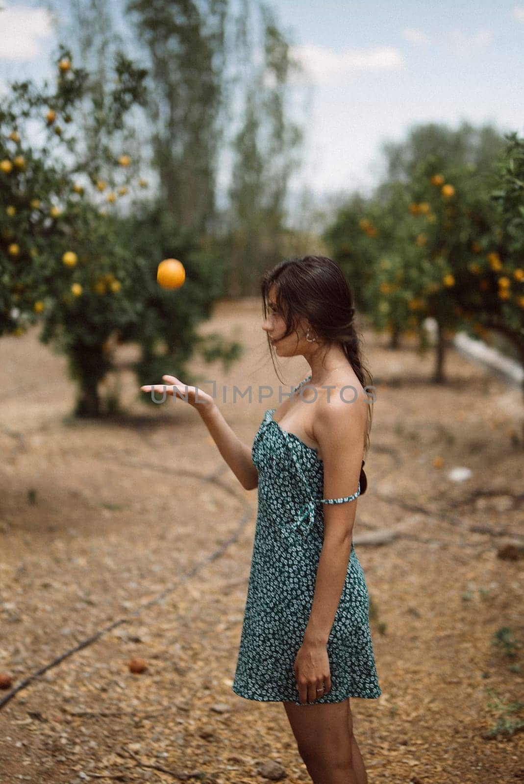 A woman is happily tossing oranges in a sunny citrus orchard, surrounded by the fresh outdoor nature in a blue dress