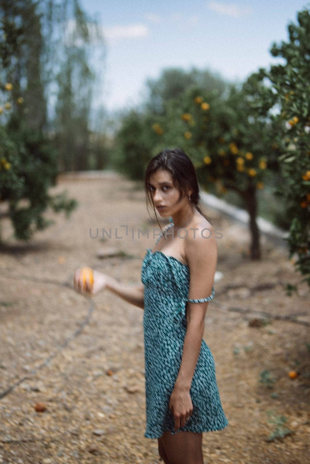 Young woman in a blue dress standing in an orchard, holding an orange fruit with trees in the background.