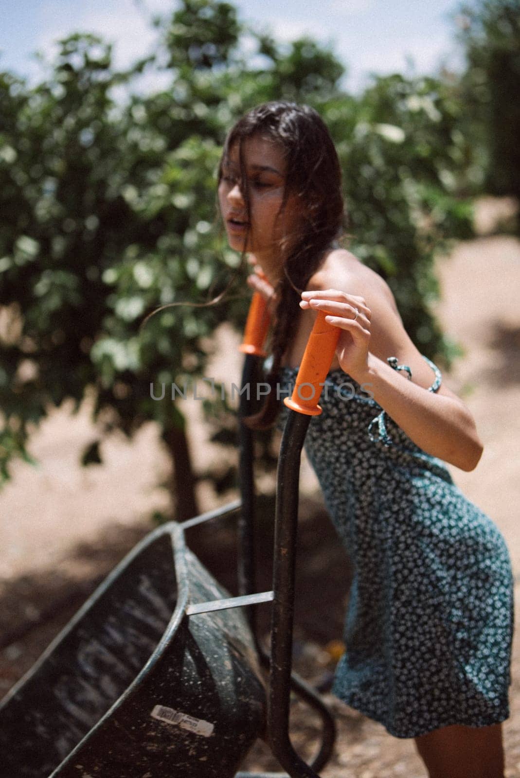 A young woman in a blue dress is in a garden pushing a wheelbarrow on a sunny day, symbolizing gardening