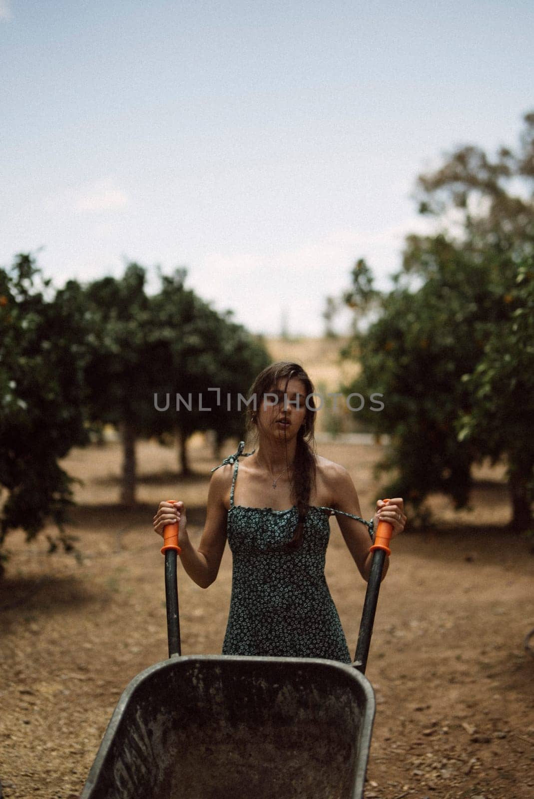 A woman in blue dress works in an orchard, pushing a wheelbarrow under the sun, tending to farmland and trees