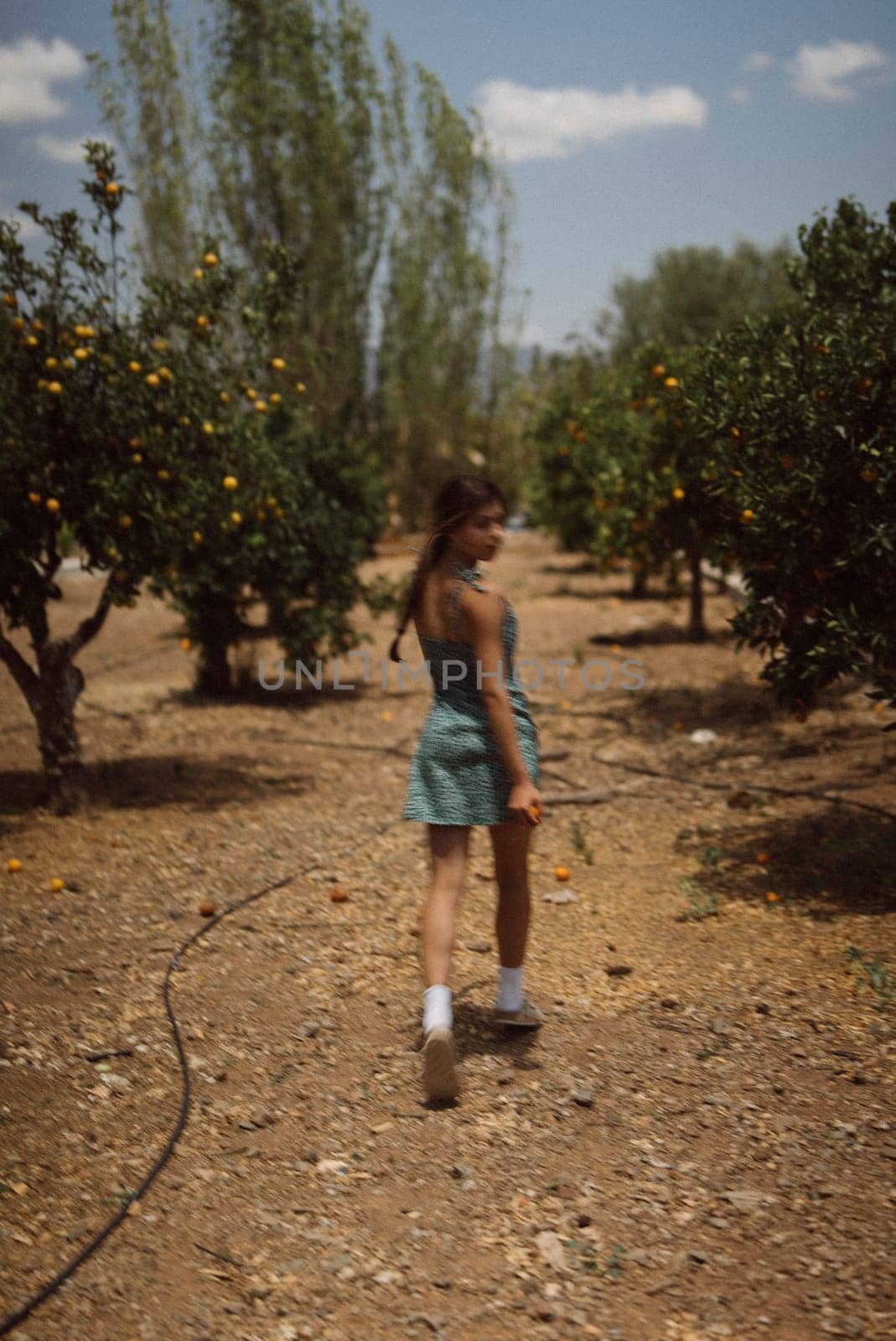 A young girl walks in a fruit orchard on a sunny day, surrounded by beautiful trees, creating a serene atmosphere