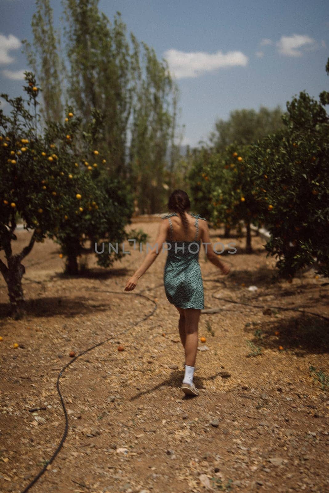 Back view of a woman in a green sundress walking through a sunlit orange grove on a warm summer day.