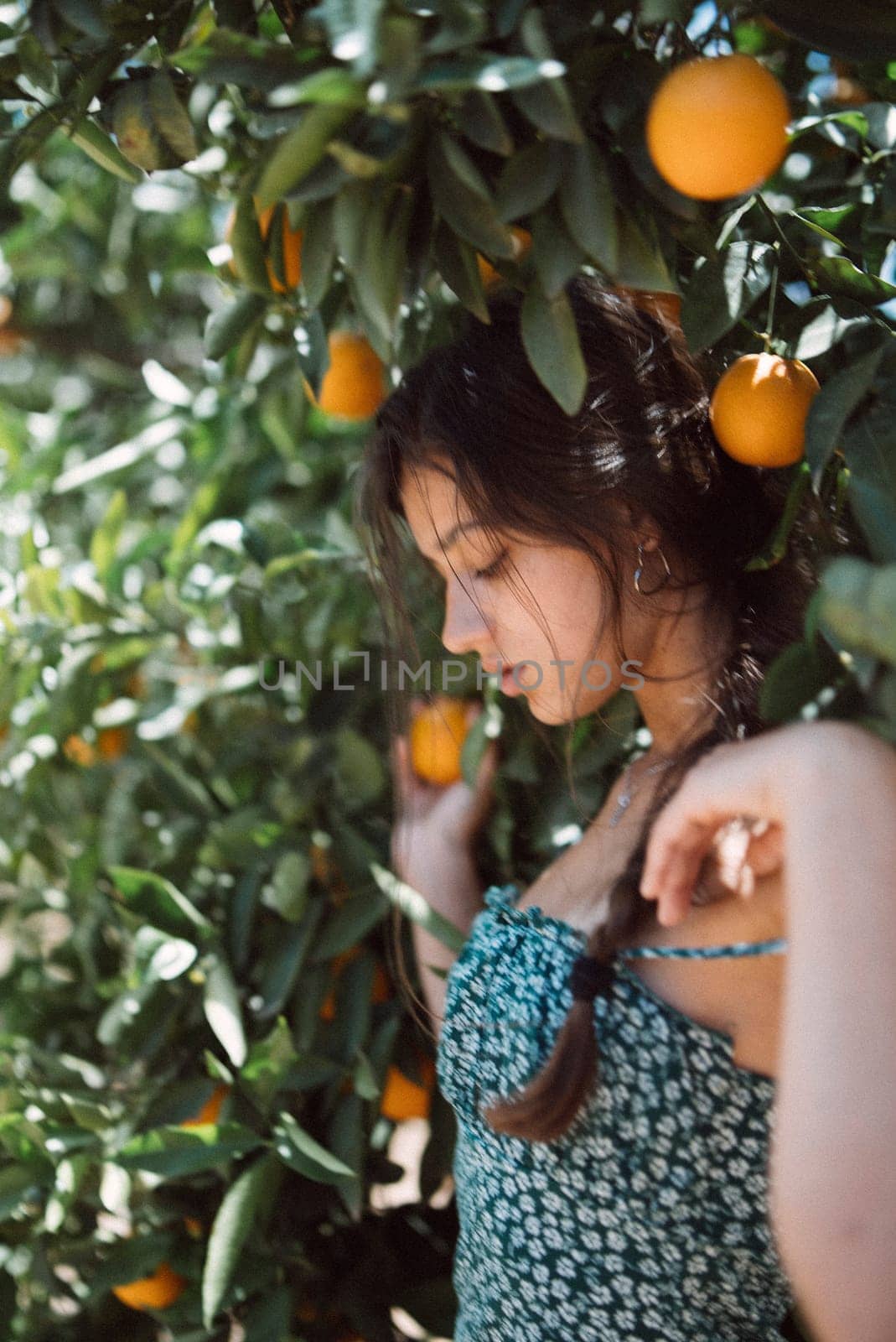 A young woman with braided hair standing in a summery orchard surrounded by ripe oranges in a floral dress