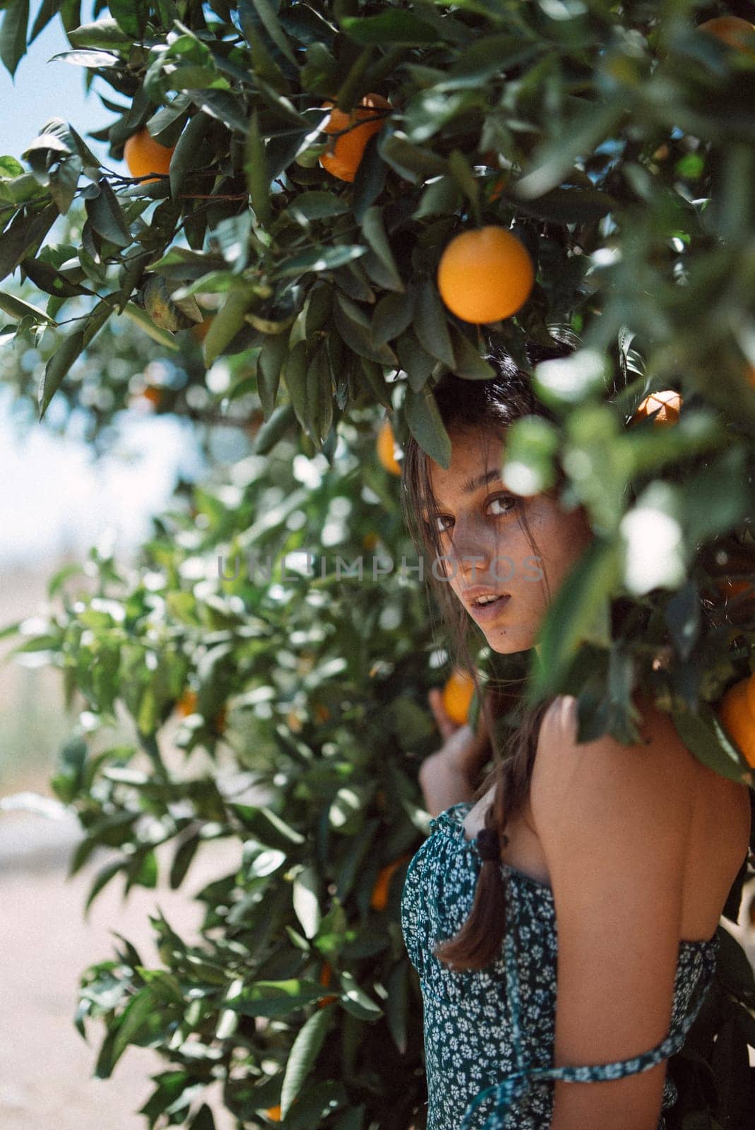 A young woman with braided hair smiling, surrounded by orange trees in a sunny orchard, enjoying natures beauty